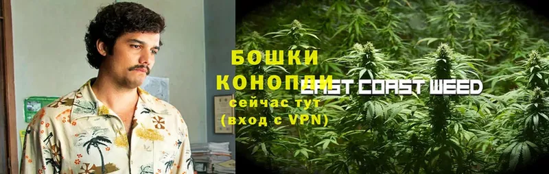 Конопля THC 21%  Лянтор 